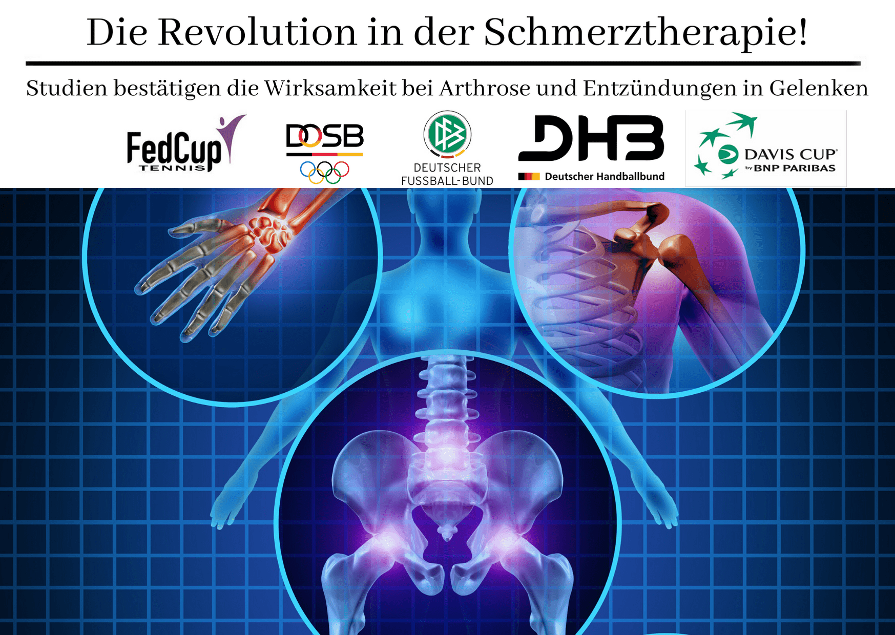 Max Health - Praxis Für Physiotherapie Unser Angebot - Provita